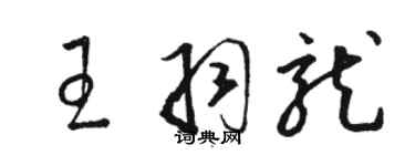 骆恒光王羽龙草书个性签名怎么写