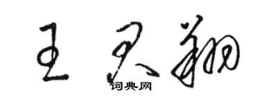 骆恒光王君翔草书个性签名怎么写