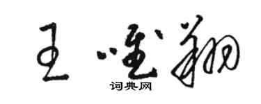骆恒光王唯翔草书个性签名怎么写