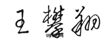 骆恒光王攀翔草书个性签名怎么写