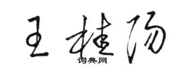 骆恒光王桂阳草书个性签名怎么写