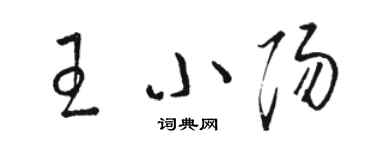 骆恒光王小阳草书个性签名怎么写