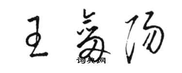 骆恒光王剑阳草书个性签名怎么写