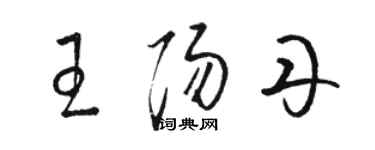 骆恒光王阳丹草书个性签名怎么写
