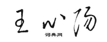 骆恒光王心阳草书个性签名怎么写
