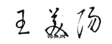 骆恒光王美阳草书个性签名怎么写