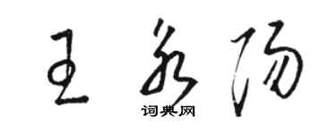 骆恒光王永阳草书个性签名怎么写
