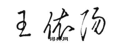骆恒光王依阳草书个性签名怎么写
