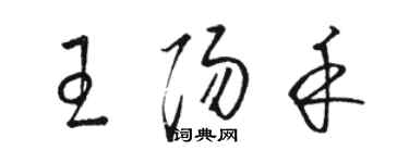骆恒光王阳禾草书个性签名怎么写