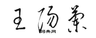 骆恒光王阳兰草书个性签名怎么写