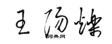 骆恒光王阳烁草书个性签名怎么写