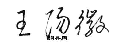 骆恒光王阳徽草书个性签名怎么写