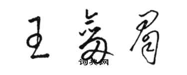 骆恒光王剑眉草书个性签名怎么写