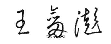 骆恒光王剑澎草书个性签名怎么写