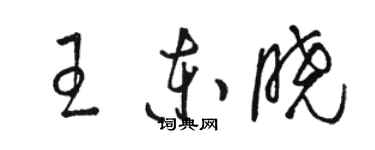 骆恒光王东晓草书个性签名怎么写