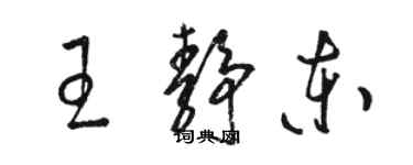 骆恒光王静东草书个性签名怎么写