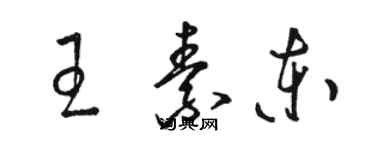 骆恒光王素东草书个性签名怎么写