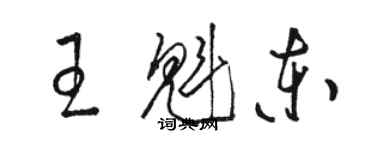 骆恒光王魁东草书个性签名怎么写