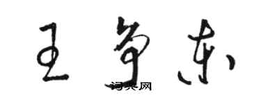 骆恒光王争东草书个性签名怎么写