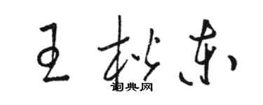 骆恒光王楷东草书个性签名怎么写