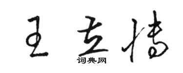 骆恒光王立博草书个性签名怎么写