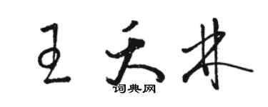骆恒光王夭林草书个性签名怎么写
