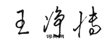 骆恒光王净博草书个性签名怎么写