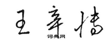 骆恒光王辛博草书个性签名怎么写