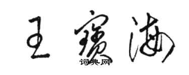 骆恒光王宝海草书个性签名怎么写