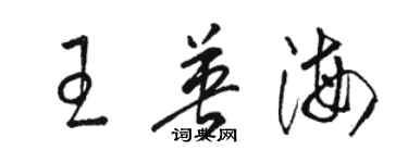 骆恒光王英海草书个性签名怎么写