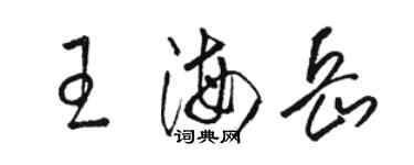 骆恒光王海岳草书个性签名怎么写