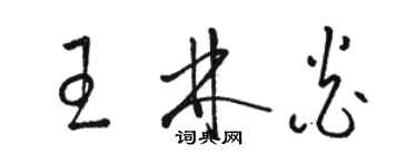 骆恒光王林炎草书个性签名怎么写