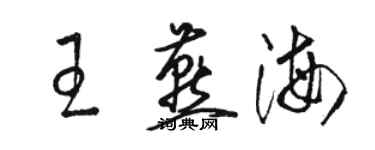 骆恒光王燕海草书个性签名怎么写