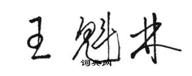 骆恒光王魁林草书个性签名怎么写