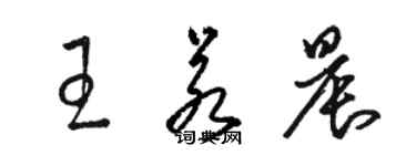 骆恒光王若晨草书个性签名怎么写