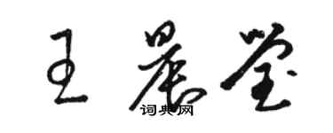 骆恒光王晨莹草书个性签名怎么写