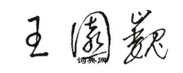 骆恒光王园巍草书个性签名怎么写