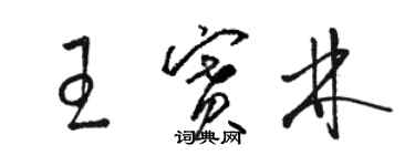 骆恒光王赛林草书个性签名怎么写