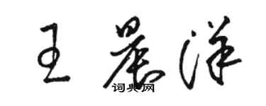 骆恒光王晨洋草书个性签名怎么写