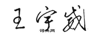 骆恒光王宇威草书个性签名怎么写
