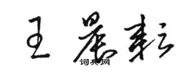 骆恒光王晨耘草书个性签名怎么写