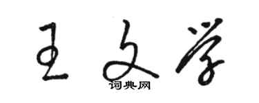 骆恒光王文学草书个性签名怎么写