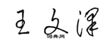 骆恒光王文泽草书个性签名怎么写