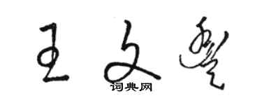 骆恒光王文丰草书个性签名怎么写