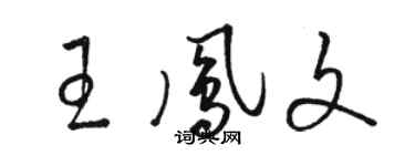 骆恒光王凤文草书个性签名怎么写