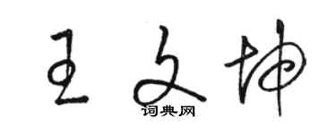 骆恒光王文坤草书个性签名怎么写
