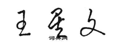 骆恒光王星文草书个性签名怎么写