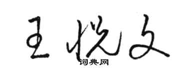 骆恒光王悦文草书个性签名怎么写