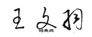 骆恒光王文羽草书个性签名怎么写