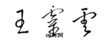 骆恒光王灵云草书个性签名怎么写